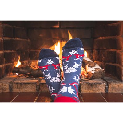 Ponožky slabé vánoční DAMERRY obrázkové SE ZVÍŘÁTKY