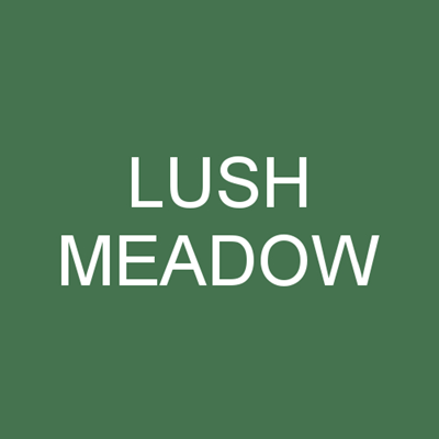 Punčochové kalhoty MICRO tights 50 DEN LUSH MEADOW