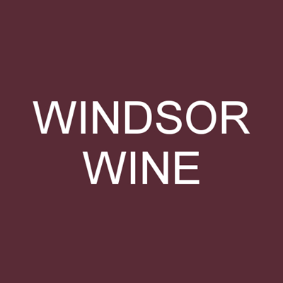 Punčochové kalhoty MICRO tights 50 DEN WINDSOR WINE