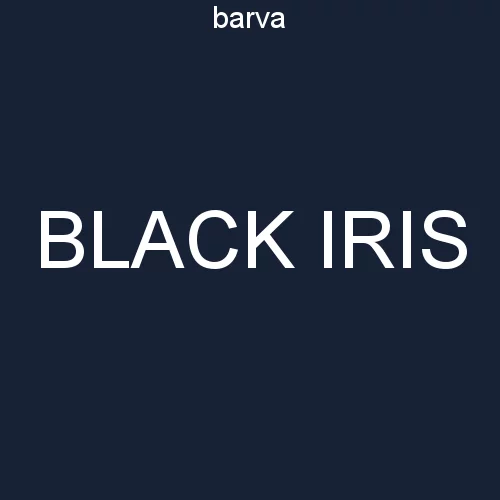 punčochové kalhoty MICRO 100 DEN black iris